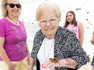 Simmons Cancer Institute Butterfly Release